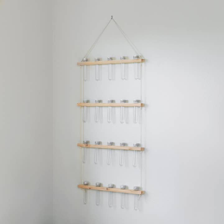 The Plant Committee - Wholesale Wall Planter - Hanging Propagation Station | Wall Vase | Pick your size