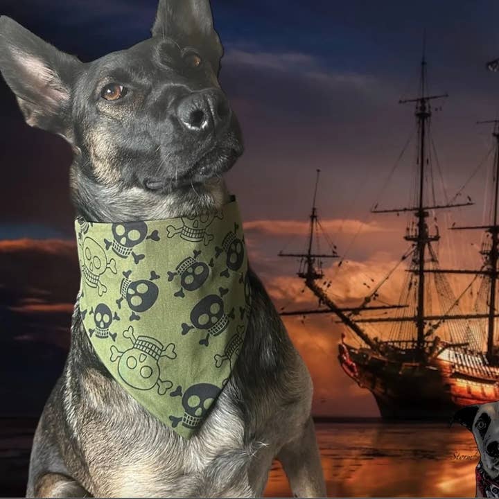 Khaki Skull and Crossbones Pet Bandanas - Dog Cat  for wholesale by Storms Style