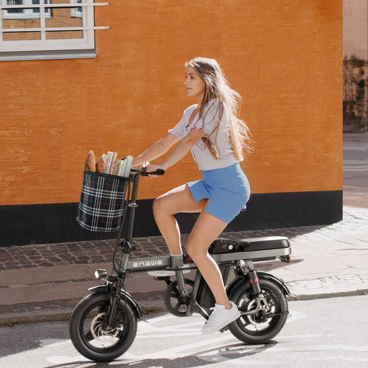 Pleno Fitness - Wholesale Bike/Scooter - Kids - T14 350W Motor | 48V 10An Battery Ebike17