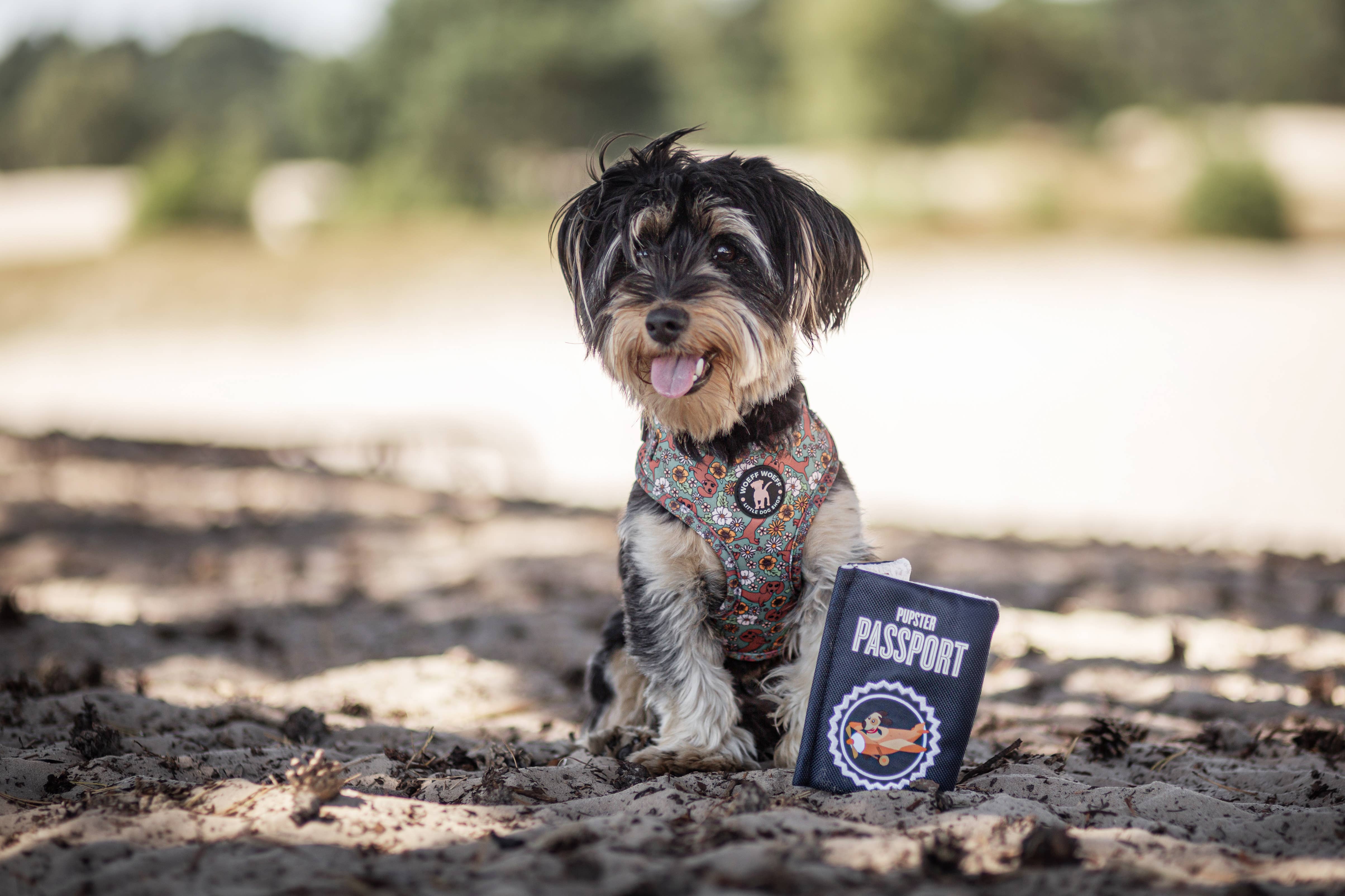 Woeff Woeff - Vente Harnais – chien - Harnais vert pour teckel2