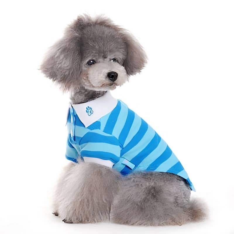 Dogo Pet - Wholesale Pet Shirt - Dog - PP Stripe Polo Shirt19