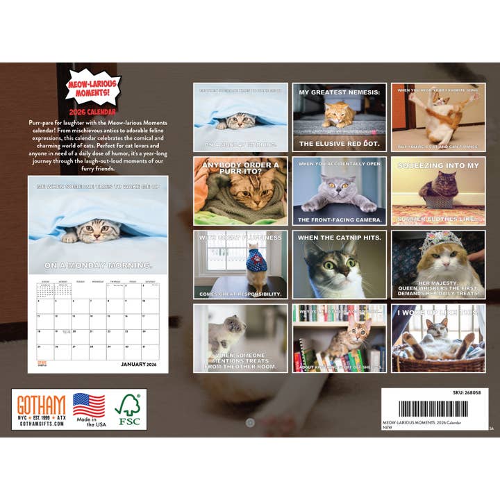 Multi Color Funny Cat Calendar 2026 Cats Monthly Wall Calender 12 Month | American Made In The USA for wholesale on Faire1