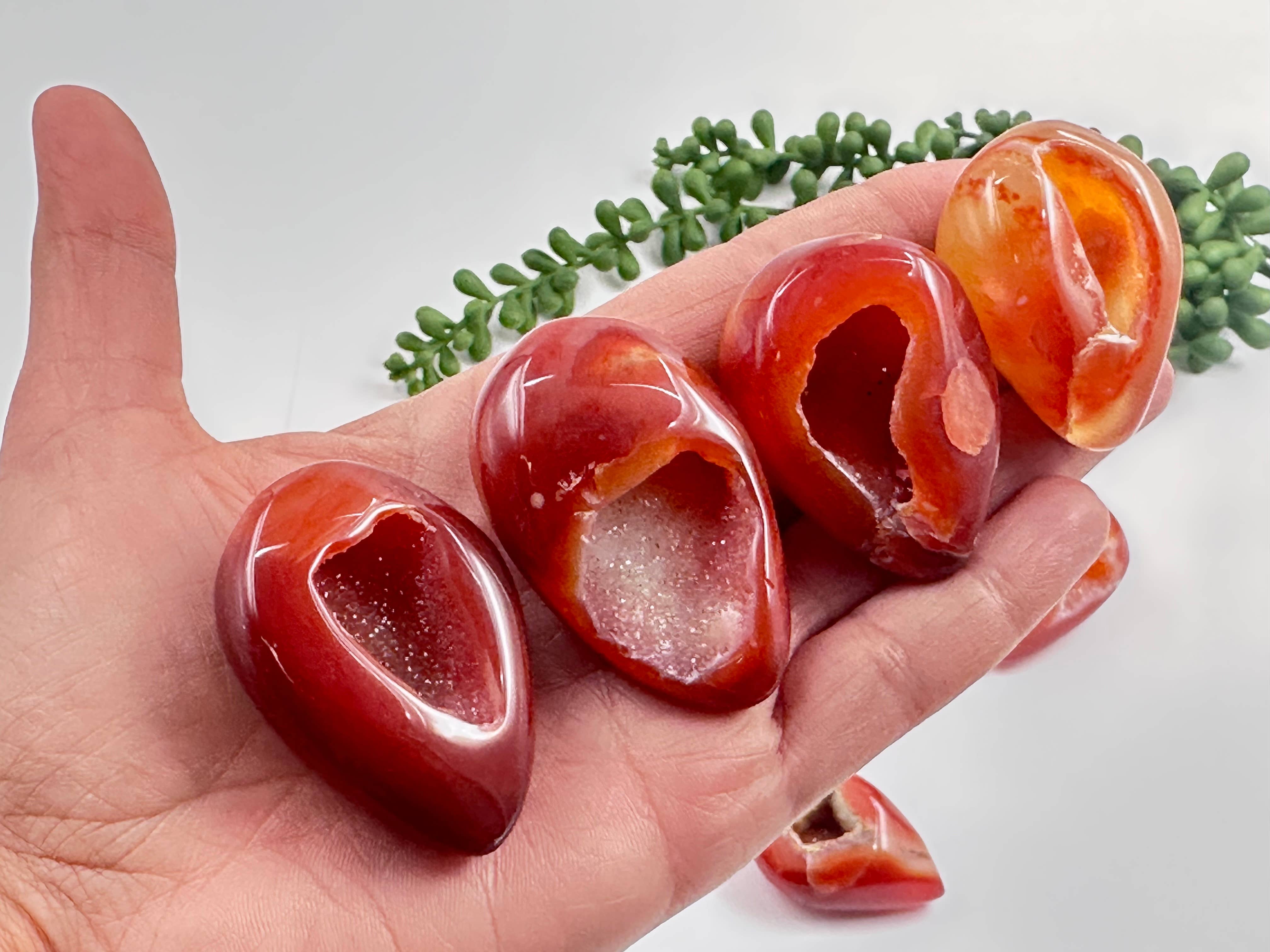 Meraki Gemstones - Wholesale Spiritual stone/crystal - Carnelian Druzy Eggs - AAA Quality0