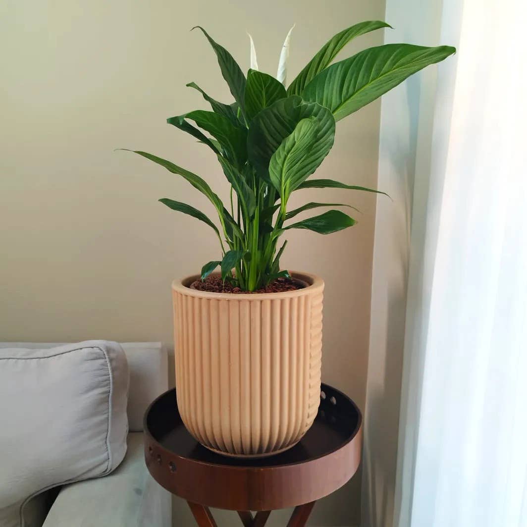 Ecobo - Wholesale Plant Pot - Linhas Pot Planter1
