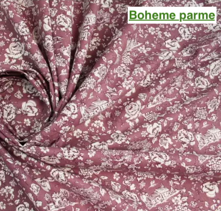 L'aiguille de Sha - Wholesale Book Cover - Family book cover18