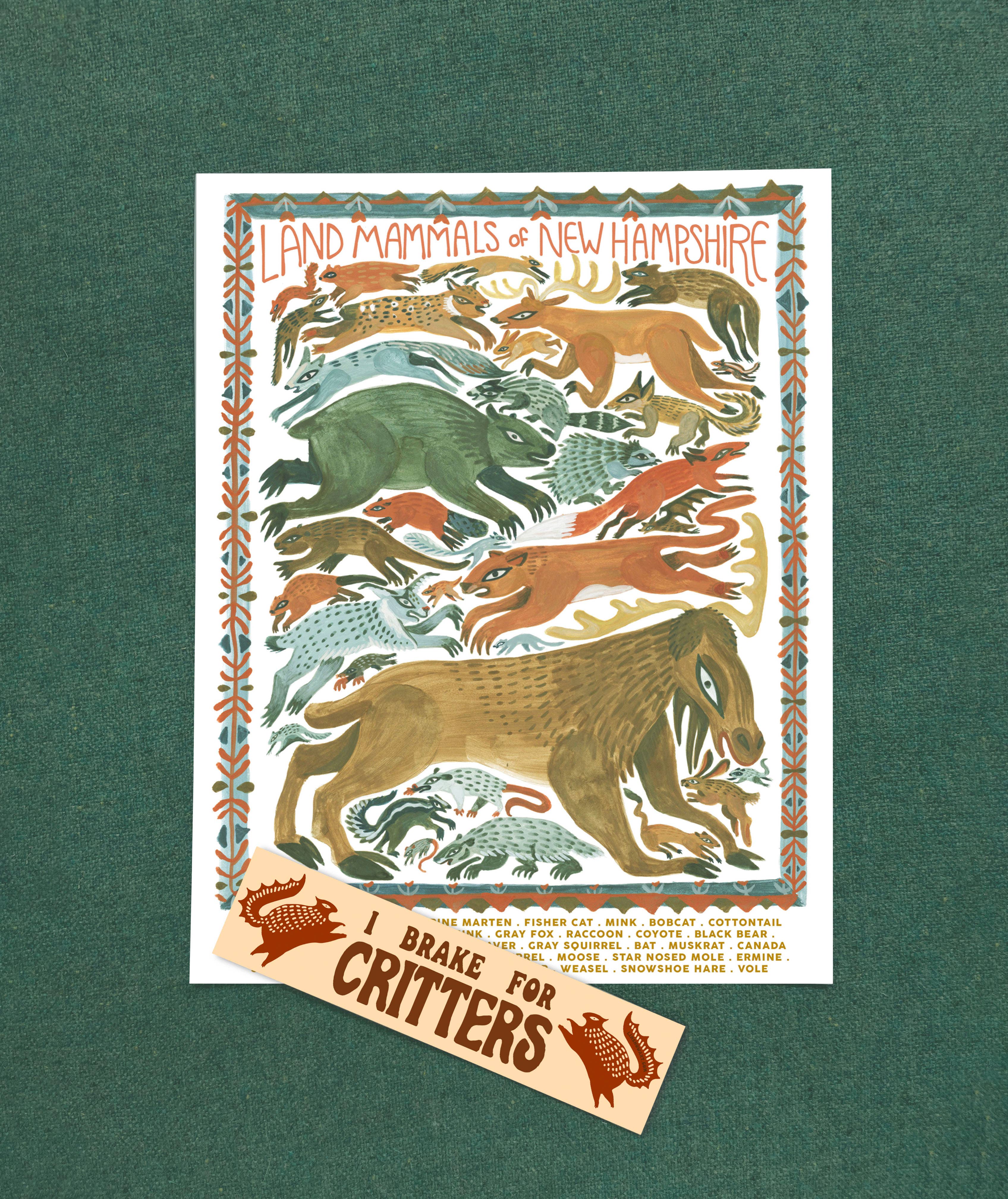 Lin Snow Art - Venta al por mayor Ilustración - Impresión de Mamíferos Terrestres de New Hampshire1