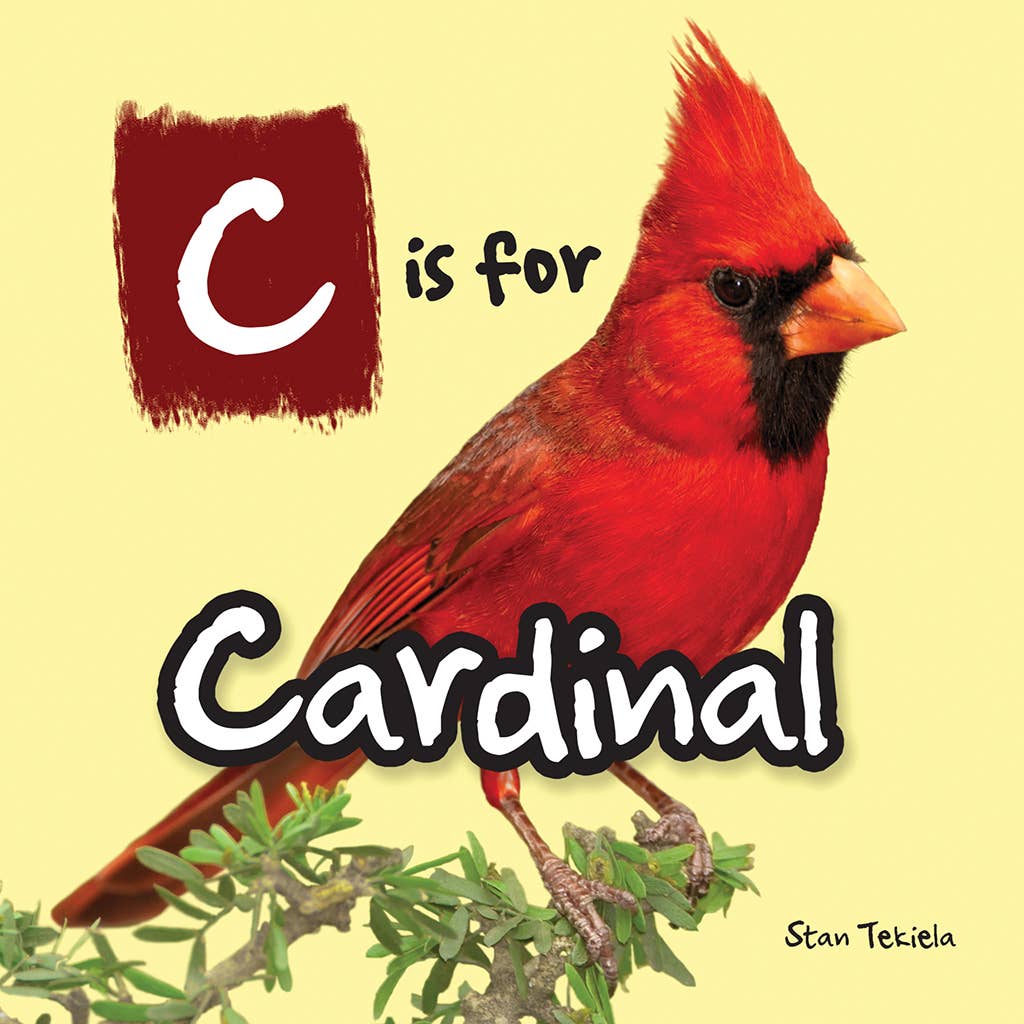 AdventureKEEN - Wholesale Nature & Outdoors - C is for Cardinal - Alphabet of Birds0