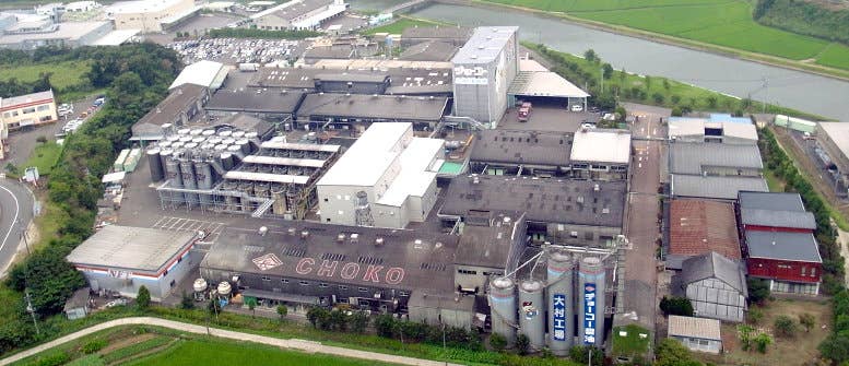 LEONIS SHIRTS & FAVORITES - Wholesale Sauce - Organic Barley & Rice Miso 500g (17.64oz)1