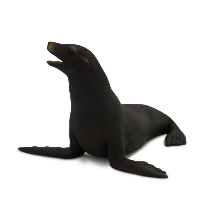 Mojo Californian Sea Lion Sea Life Animal Figurine for wholesale by Mojo