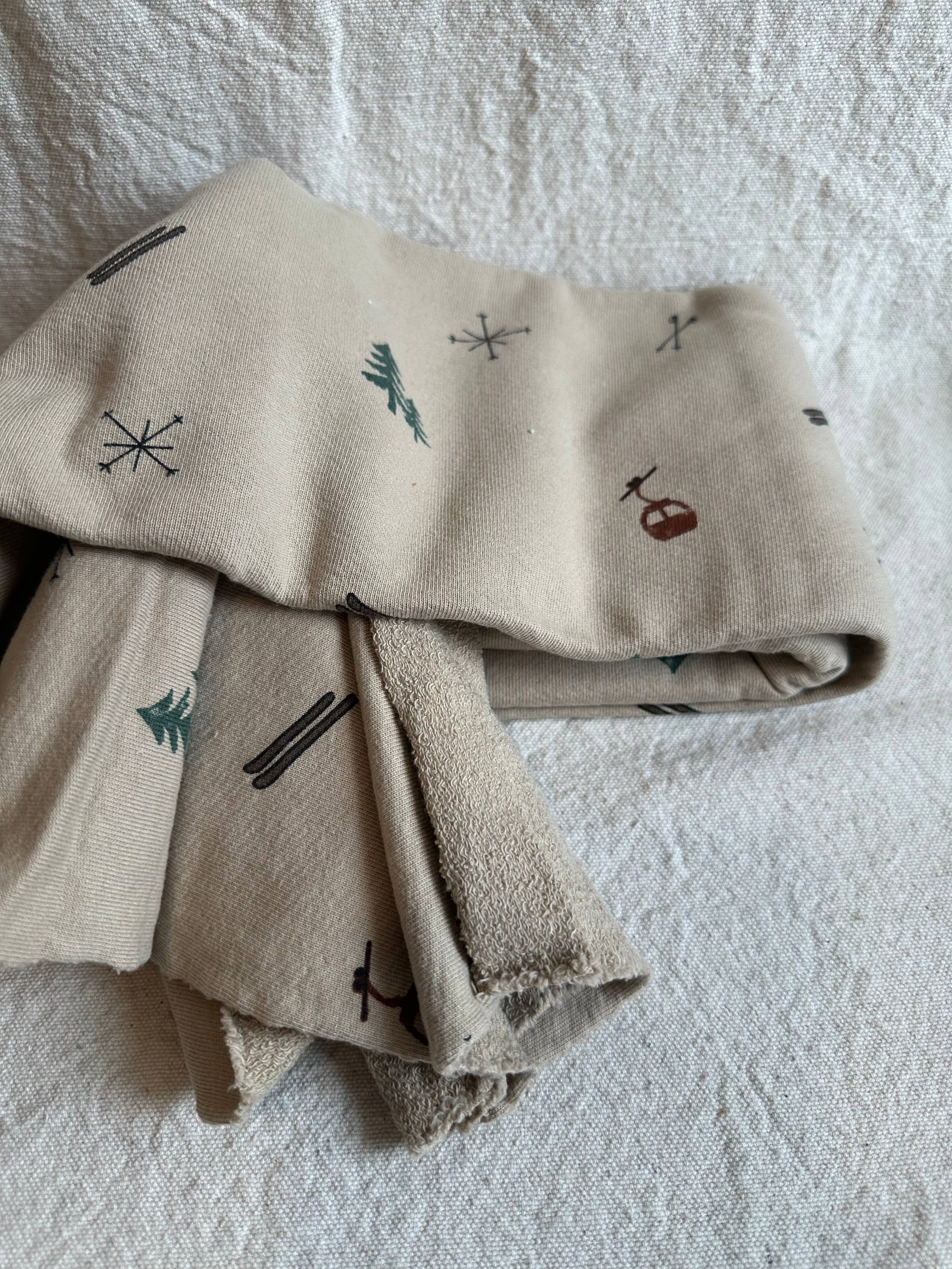 ISEE FABRIC - Wholesale Fabric - Large Loop American Milled French Terry14