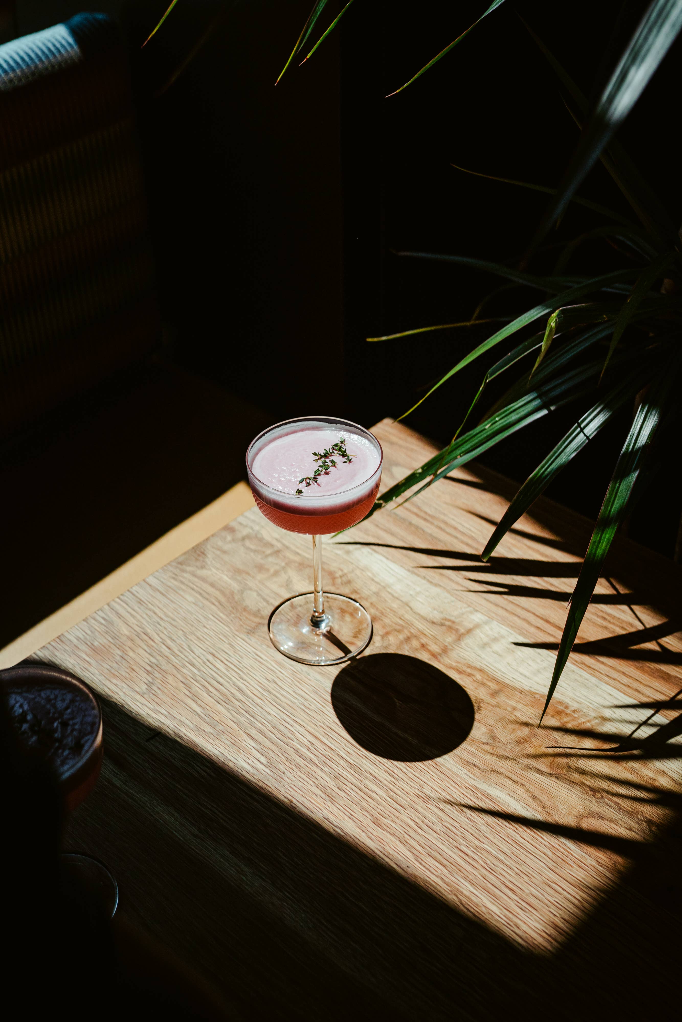 Hospitality Glass – Engroshandel Cocktail-/likørglas – Vibrance 8 ounce coupé5