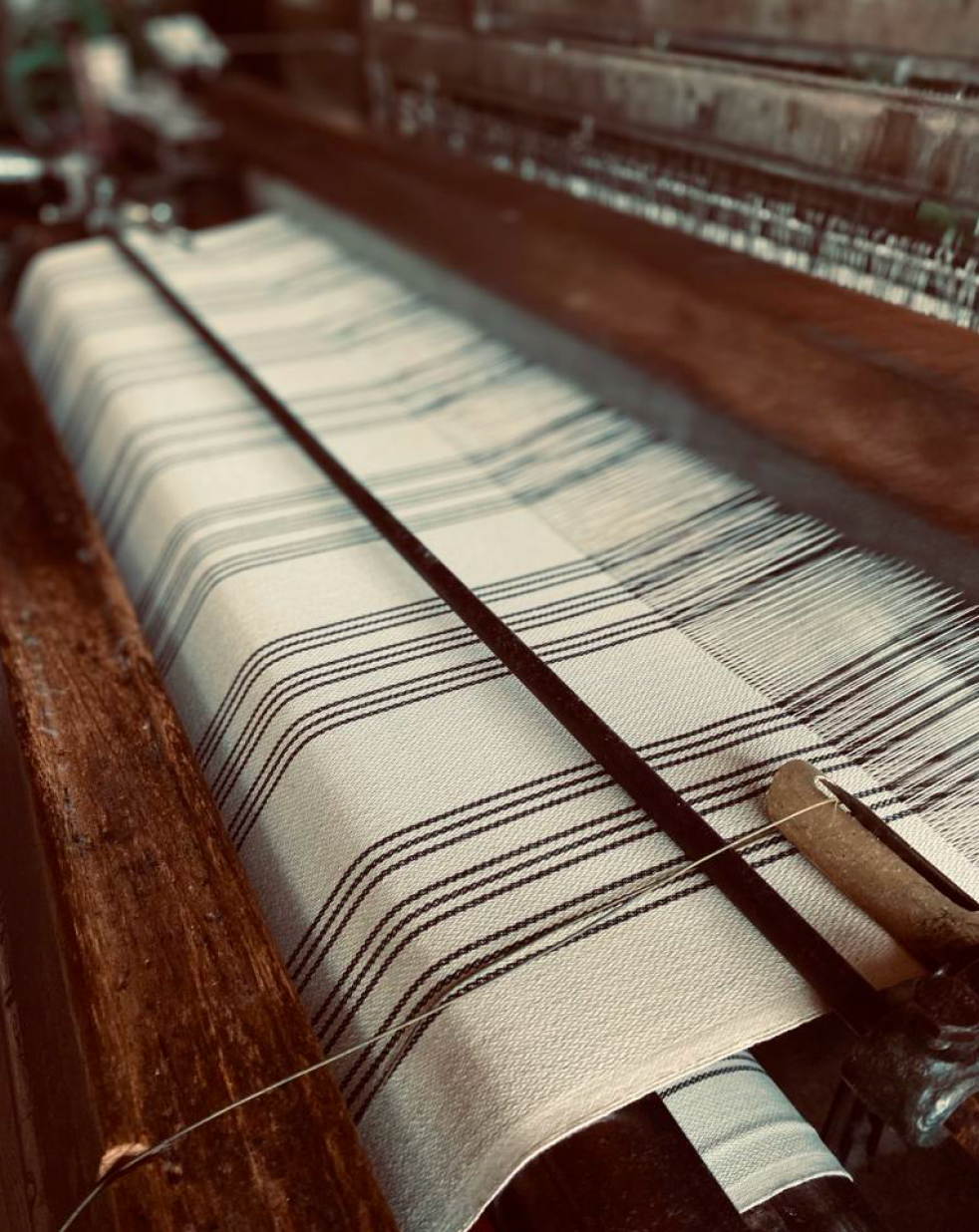 Buld&Co. - Venta al por mayor Toallas de playa - Toalla turca a rayas de algodón 100%, toalla peshtemal para hammam5