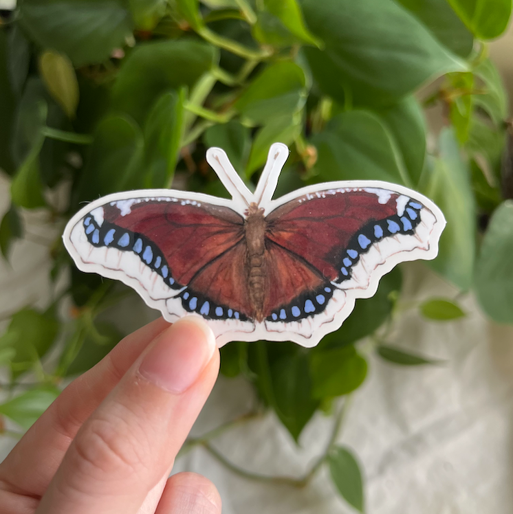 Lauren Noel Studio - Wholesale Sticker - Mourning Cloak Butterfly Sticker1