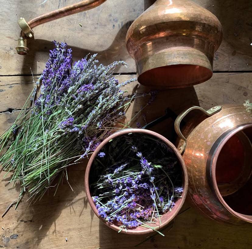 Black Creek Botanicals - Wholesale Facial Moisturizer - Organic Face Cream | Local French Skincare, Low-PUFA Formula4