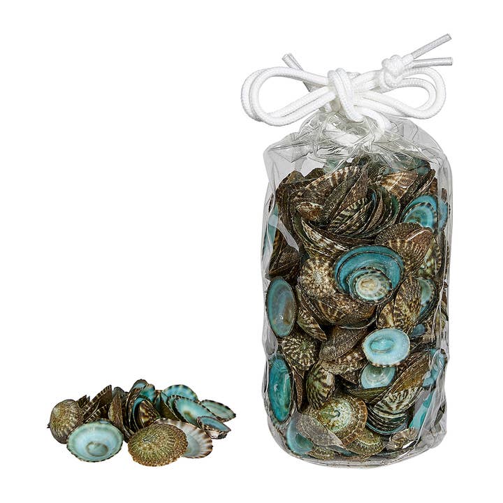 Green Limpets In 3X6" Vinyl Bag (Aprx 0.25Kilo) 0.375-1.25" for wholesale by HS Seashells