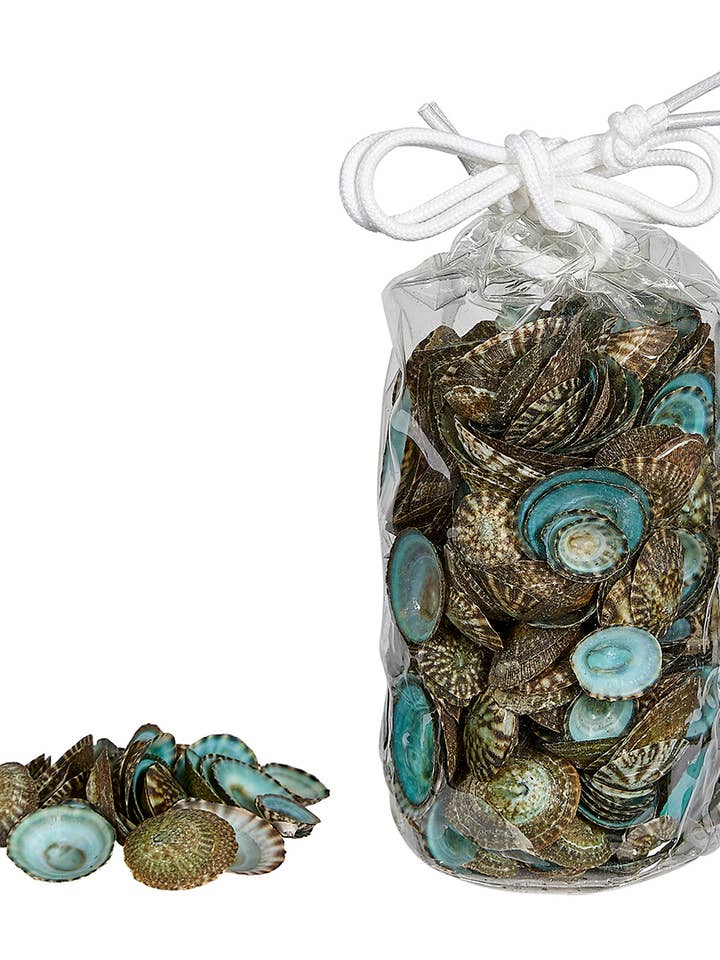 Green Limpets In 3X6" Vinyl Bag (Aprx 0.25Kilo) 0.375-1.25" for wholesale by HS Seashells
