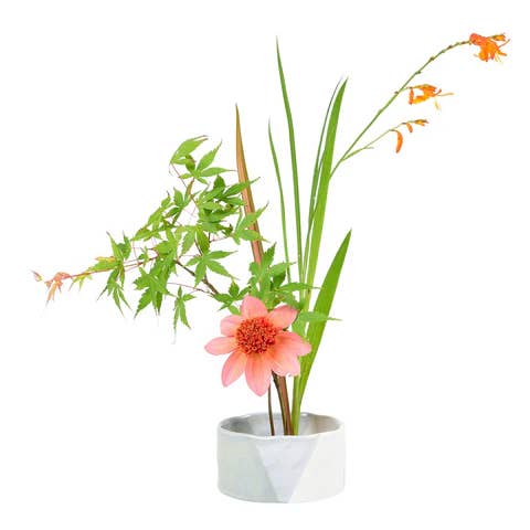 Burgon & Ball - Wholesale Plant Pot - Fuji - Japanese fl. arrranging bowl1