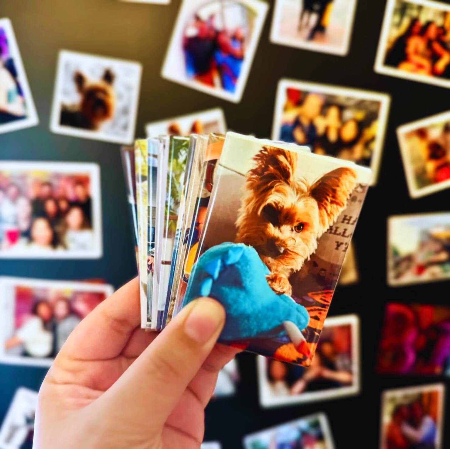 Tieu Magnetic - Wholesale Magnet - Custom 2x3 Photo Fridge Magnets Personalized Gift1