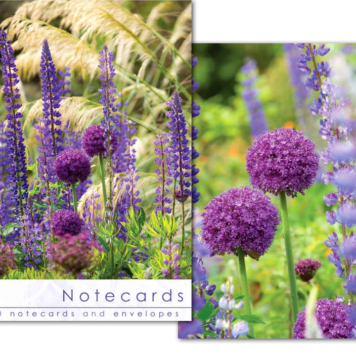 Notecard Wallet - Allium Heads (10 cards) for wholesale by Leonard Smith