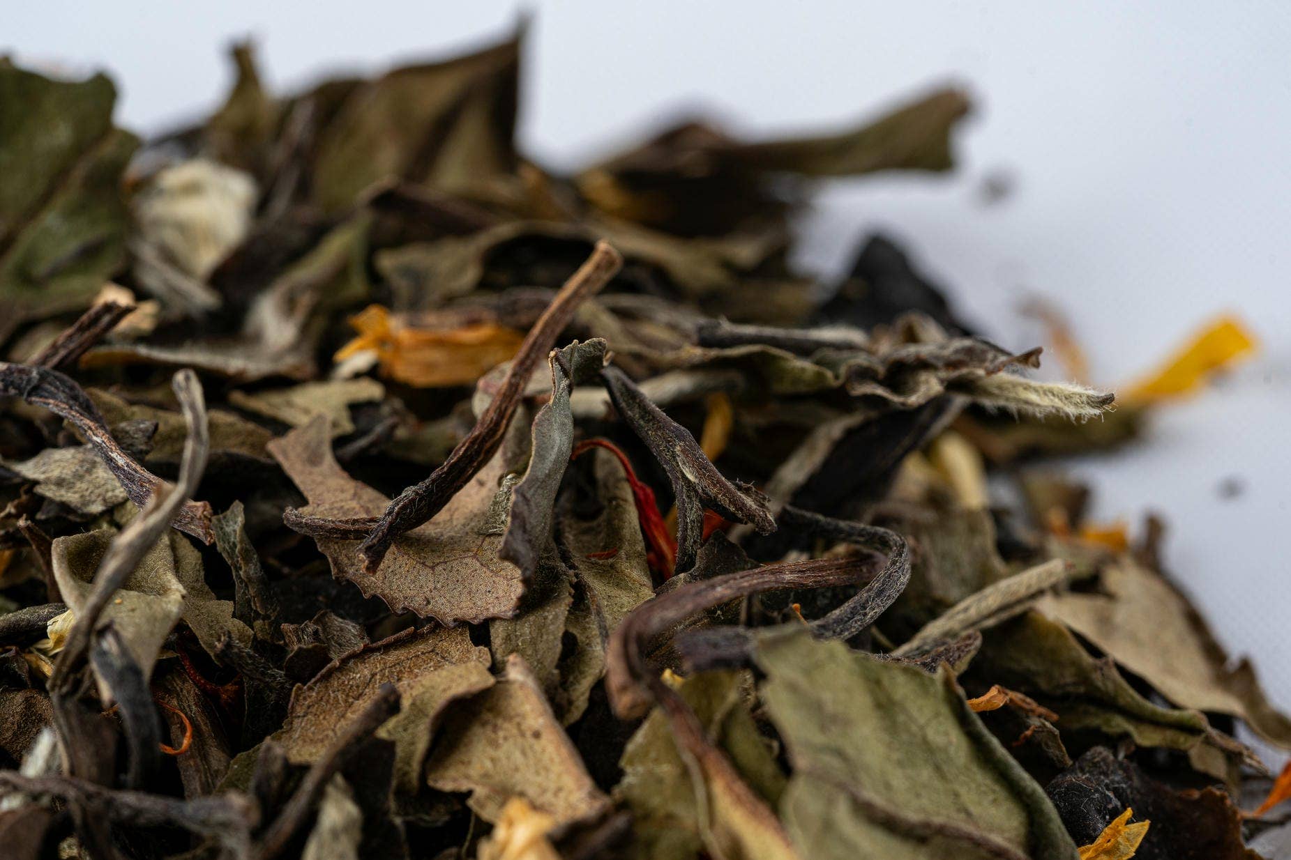 Jackson Avenue Tea Co - Wholesale Loose Tea - Ginger Peach Orange White Loose Leaf Tea2