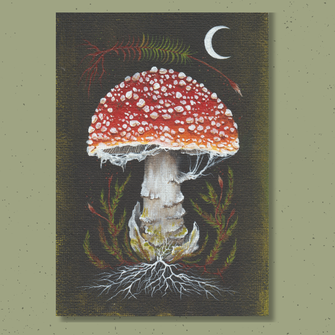 Up Moss Creek Studio - Wholesale Postcard Set - Amanita Mushroom Postcard Set8