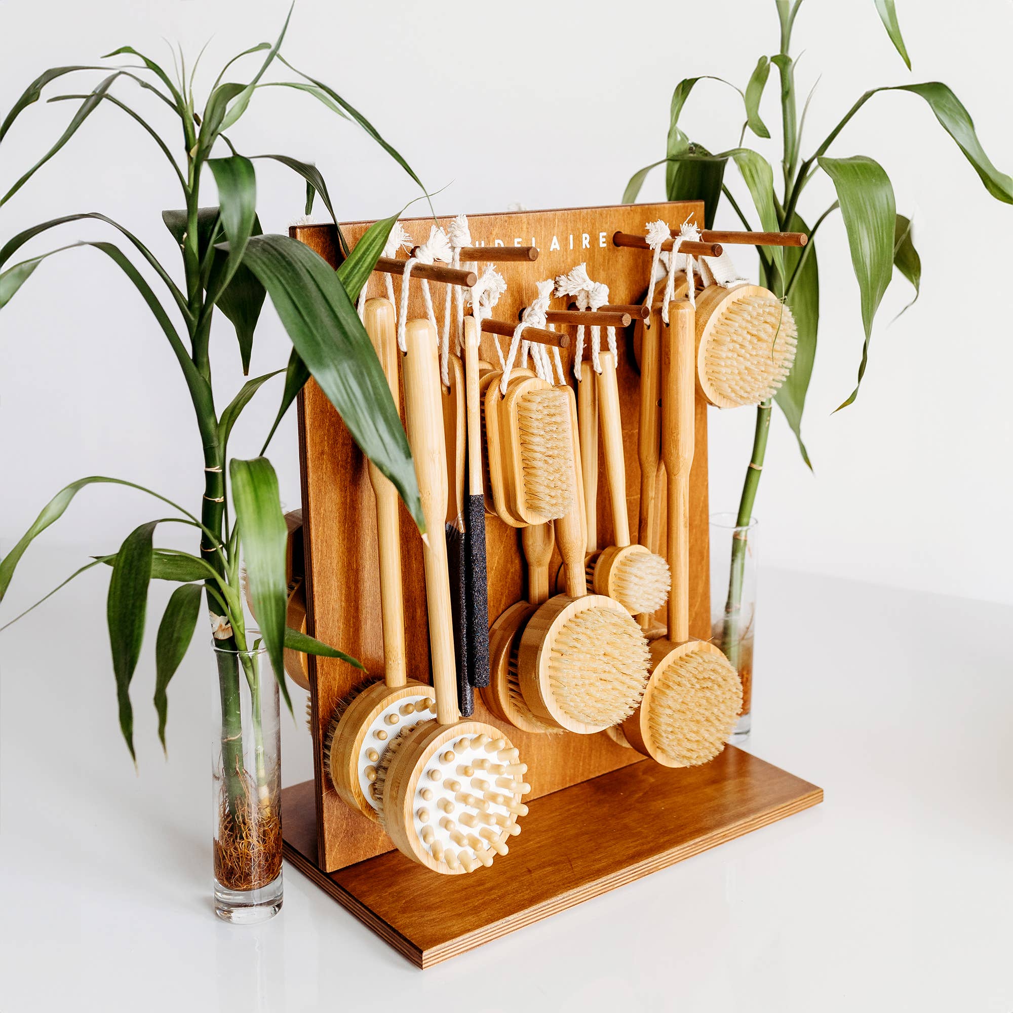 Baudelaire - Wholesale Body Brush - Bamboo 3.75" Body Brush5