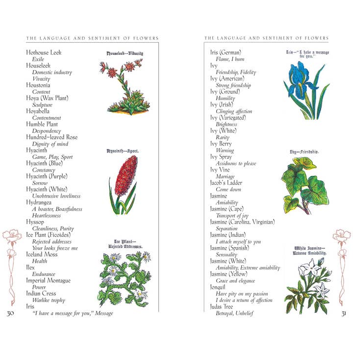 Applewood Books - Wholesale Reference - The Language and Sentiment of Flowers5