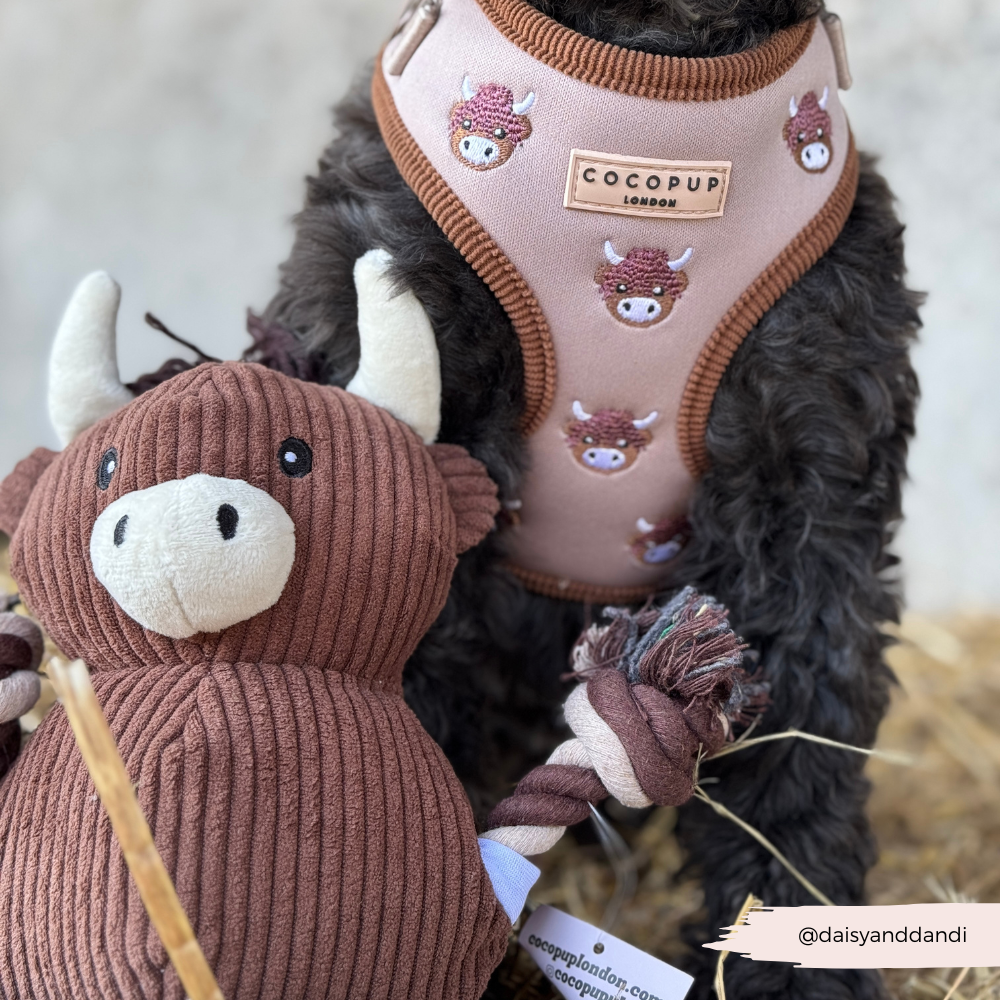 Cocopup London - Wholesale Pet Harness - Dog - Harold the Highland Cow Adjustable Neck HARNESS15