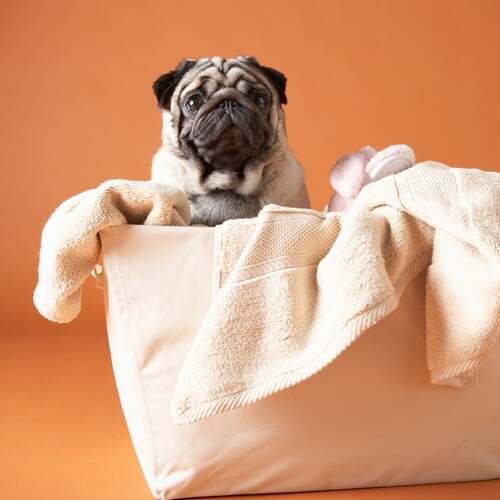 Savons Arthur - Wholesale Liquid Laundry Detergent - Organic Orange & Eucalyptus Laundry • 1L1