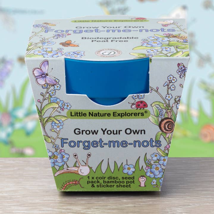 Little Nature Explorers Children's Forget Me Not Growing Kit for wholesale by Gardening for Kids Ltd