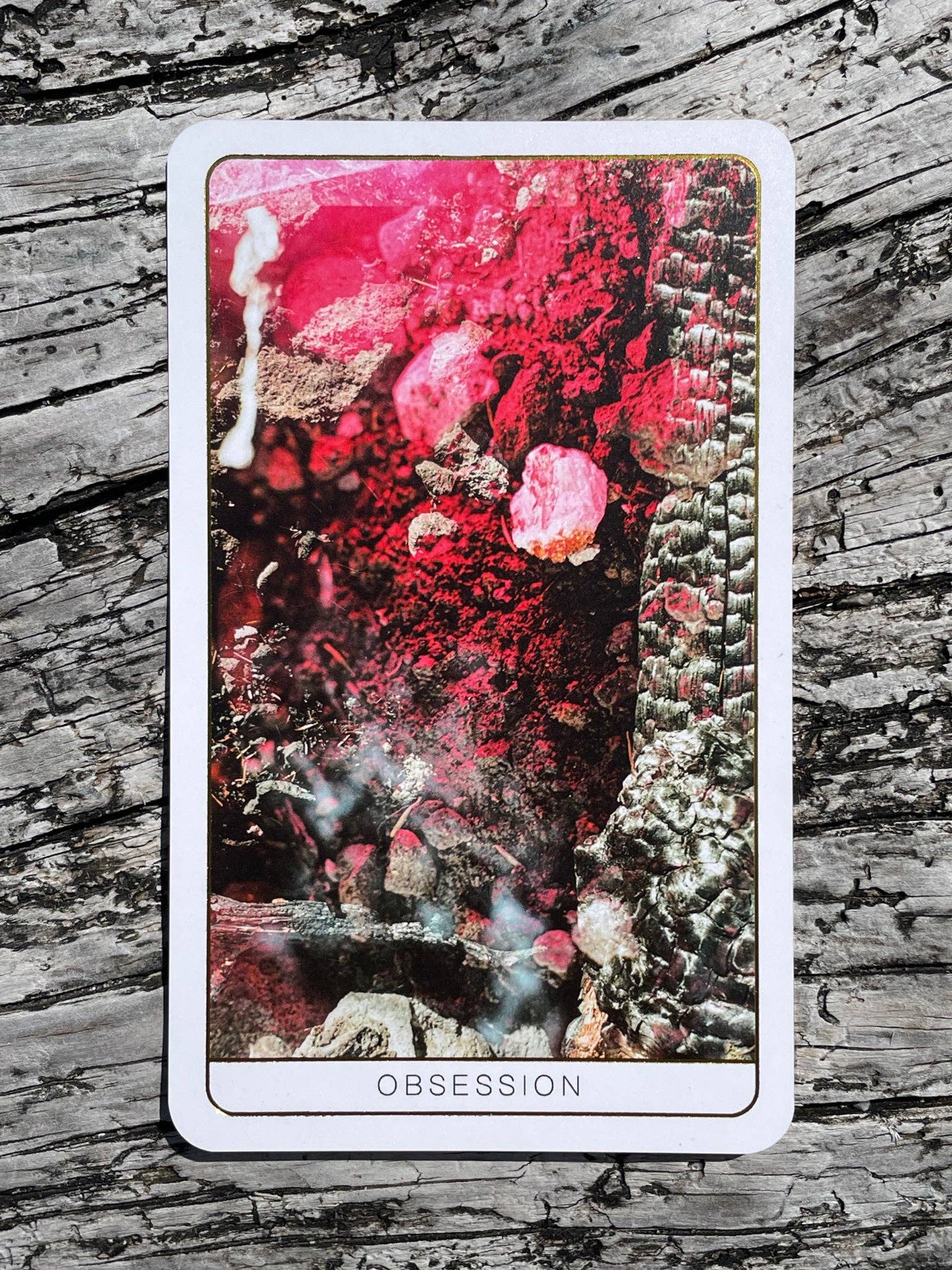 Death Doula Oracle - Wholesale Tarotkaarten - Death Doula Oracle-kaarten14