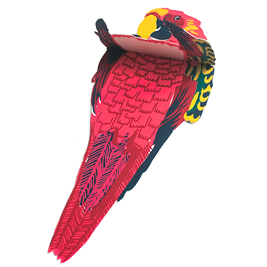 East End Press - Wholesale Everyday Greeting Card - Parrot Greeting Card2