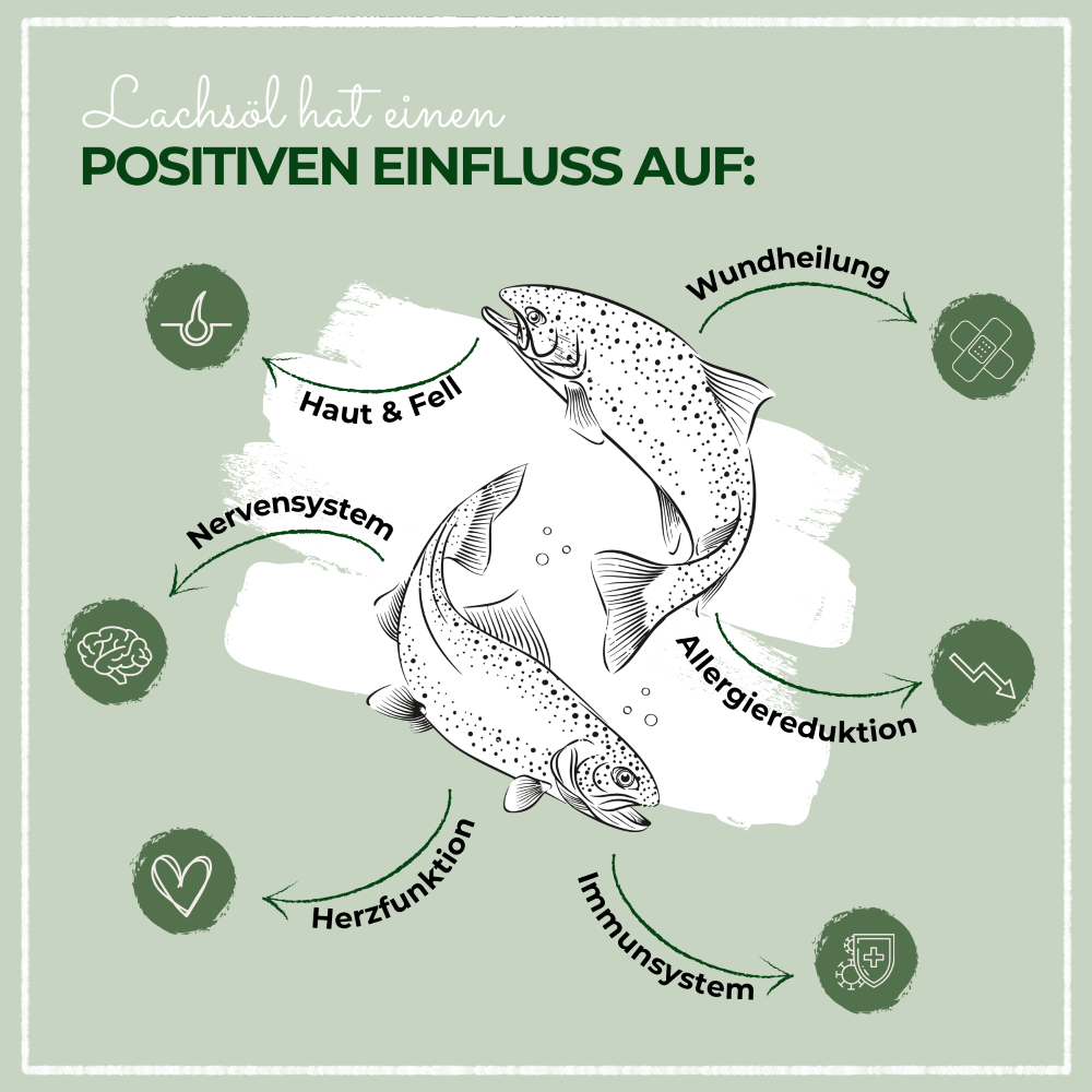 Kauartikel.com GmbH - Vendita all'ingrosso Integratori - Cani e gatti - Olio di salmone LaPura 250 ml2