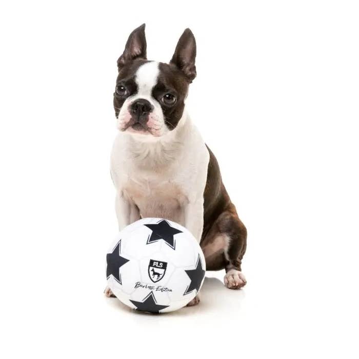 Pet Palette Distribution - Wholesale Pet Plush Toy - Dog - FuzzYard Soccer Ball Plush Dog Toy2