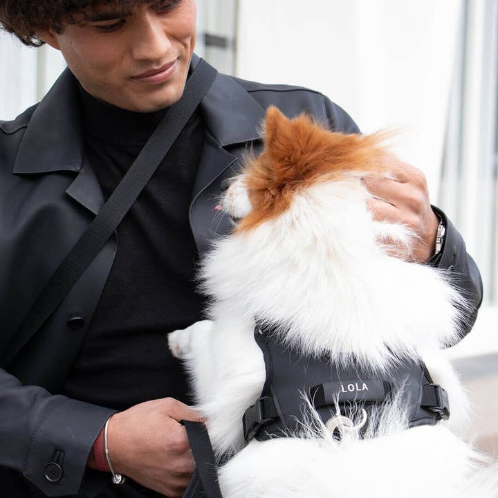 Qisu - Wholesale Pet Harness - Dog - Hug Harness - Premium4