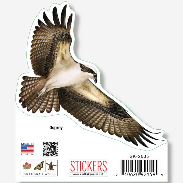 Osprey Nature Sticker, 3.5" wide for wholesale by Earth Sky + Water