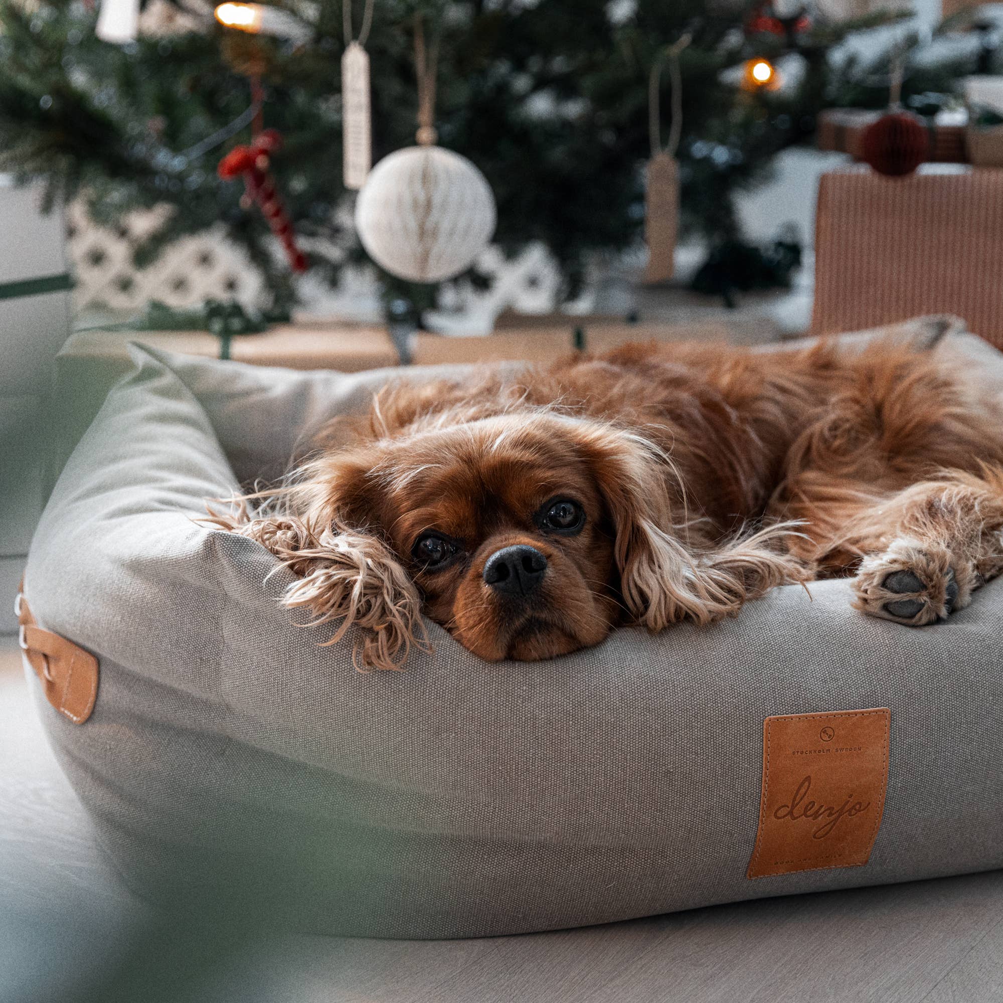 Denjo Dogs – wholesale Pet bed – Dog – Dog Bed Classic Nest with Leather Details Sand Beige1