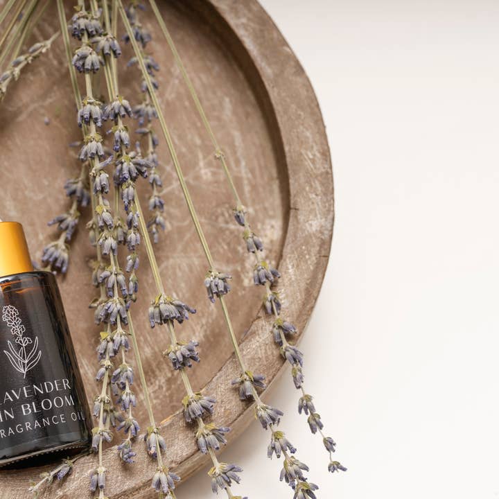 Mar Company Group – wholesale Fragrance oil – GRANDEUR Premium Grade Fragrance Oil – Aspen Mist7