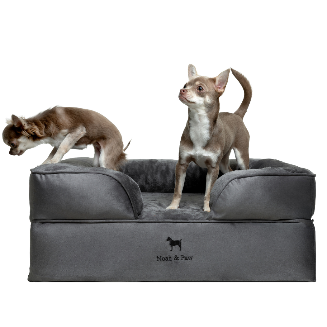 NOAH AND PAW LLC - Wholesale Bed voor huisdieren- Kat/hond - Velvet orthopedisch hondenbed met memoryfoam en verkoelende gel16