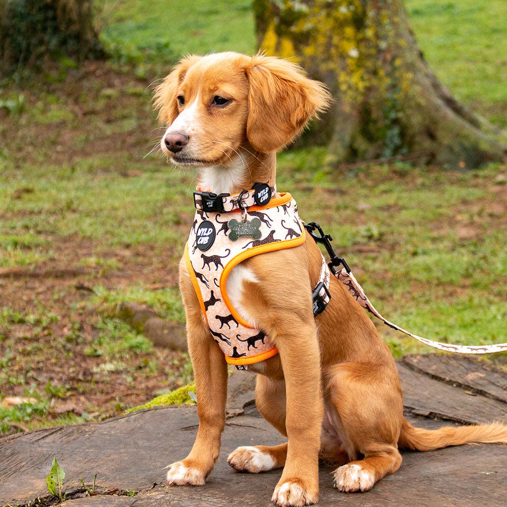 WYLD CUB – wholesale Pet leash – Dog – Kiss Chaser: Dog Lead2