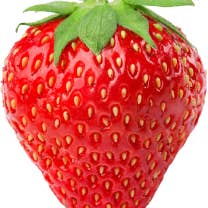 L and L Specialty Foods/J&D's Brand - Wholesale Jam/Jelly - Jam Shoppe Jam-Strawberry Rhubarb