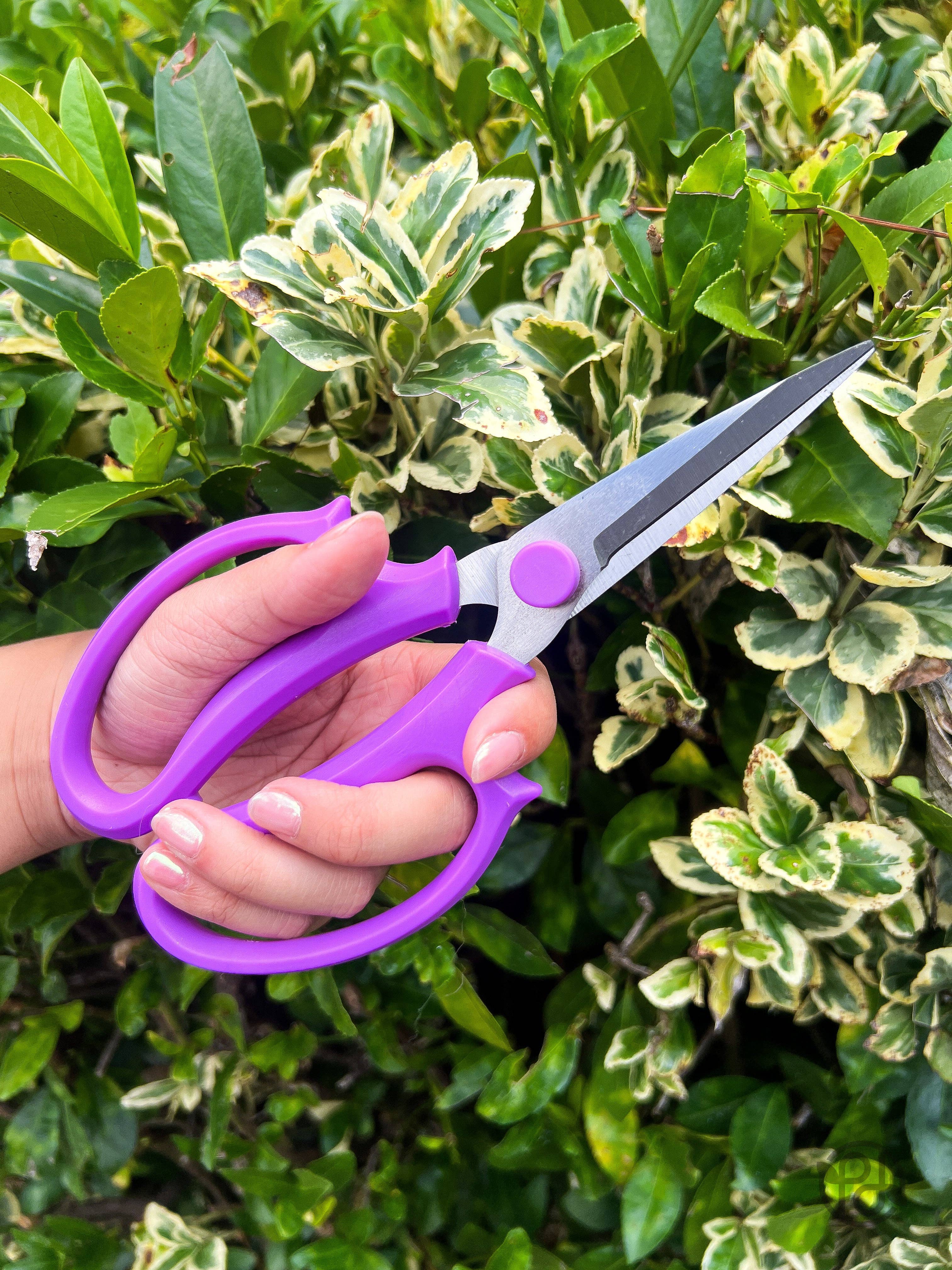 Propagation Diaries - Vente Outil de jardinage - Sécateurs3