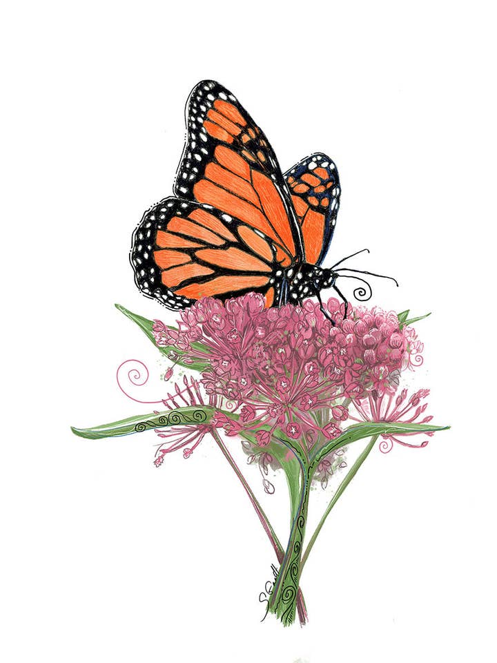 Monarch Butterfly Tea Towel for wholesale by Give A Fig