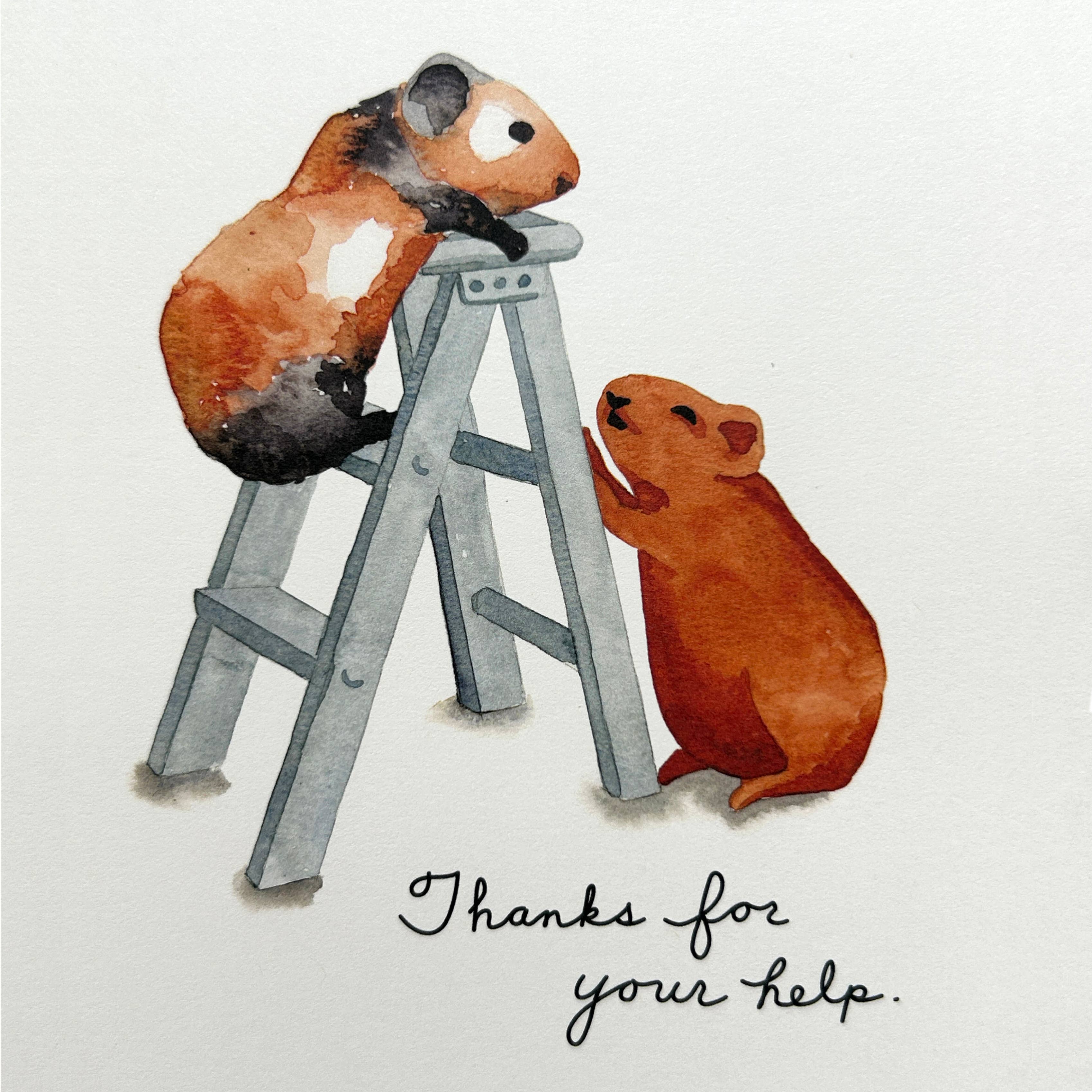 Fresh Fish - Vente Cartes de remerciements - Carte de vœux John Dory - Cochons d'Inde et échelle - Merci2