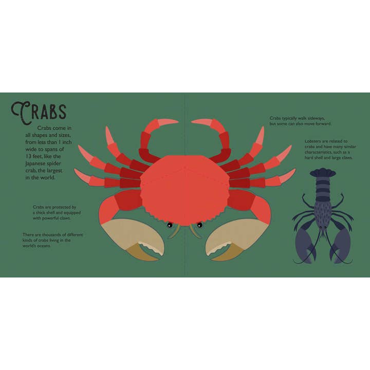 Simon & Schuster - Wholesale Preschool Book (3-5) - Panoramic Pop-Ups: Ocean by David Hawcock3