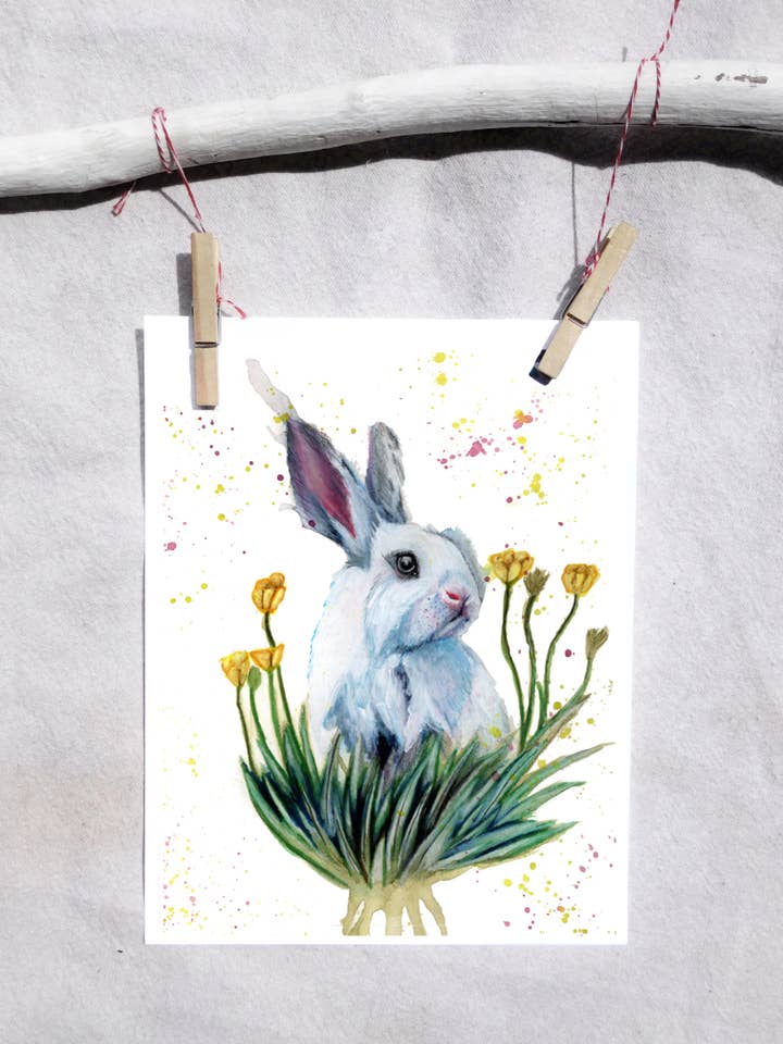 Pattedyr Blanc De Hotot Bunny Kanin kunst print for engroshandel hos Lindsey Munson