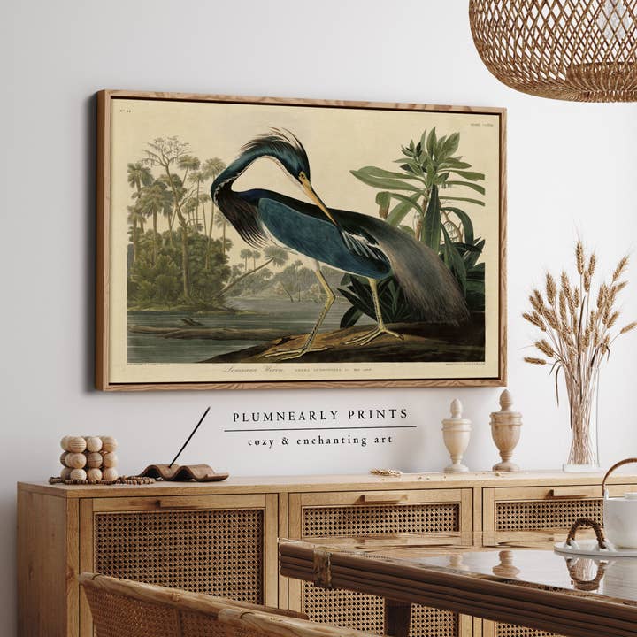 Louisiana Heron Audubon Illustration Framed Canvas Art 3 for wholesale by Plumnearly Prints