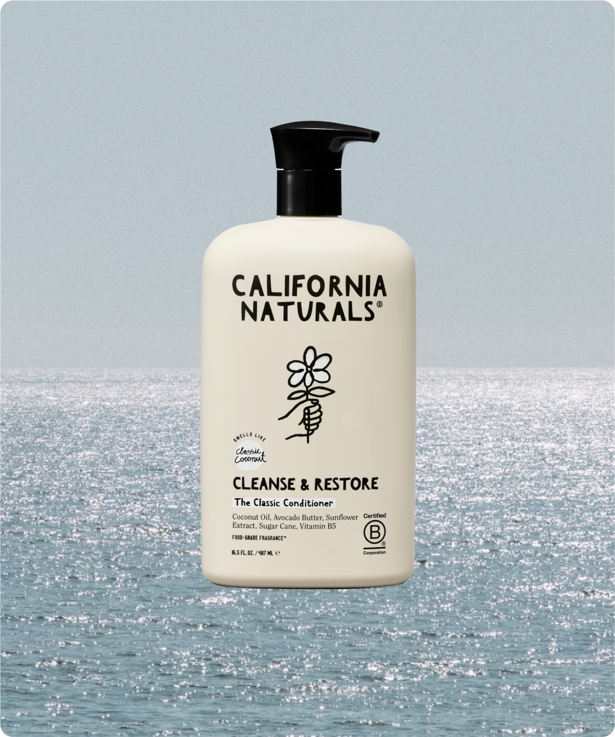 California Naturals - Wholesale Hair Conditioner - Classic Coconut Conditioner7
