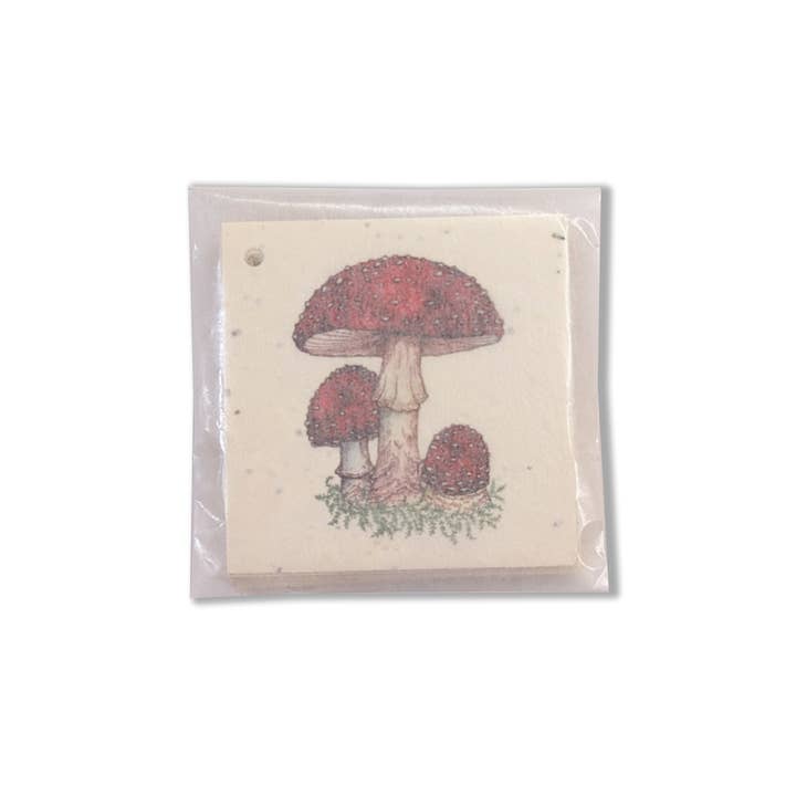 Small Victories - Wholesale Gift Tag - Mushroom Gift Tags - Plantable Wildflower Seed Paper