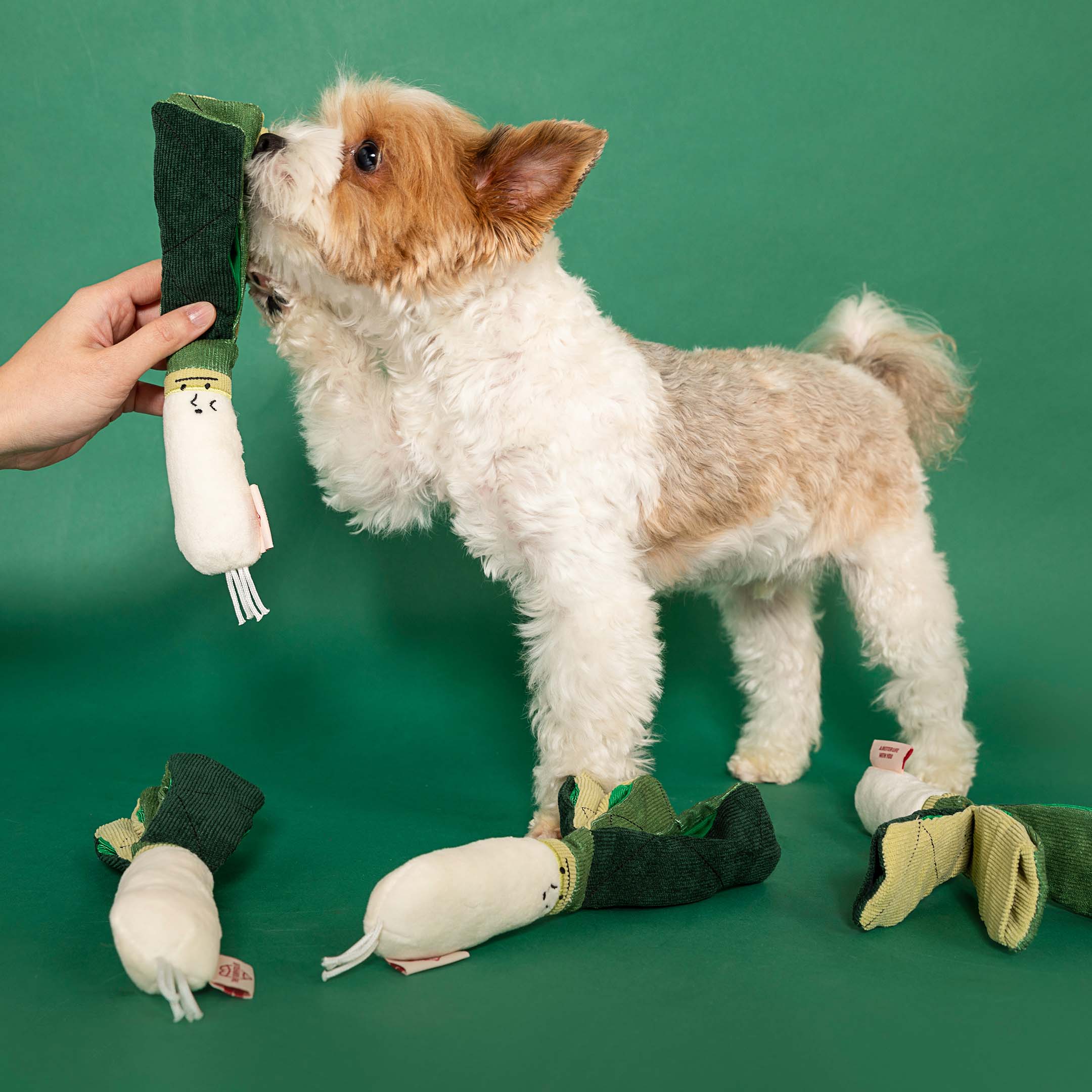 the furryfolks - Wholesale Knuffelspeeltje - Hond - Green Onion speelgoed voor neuswerk6